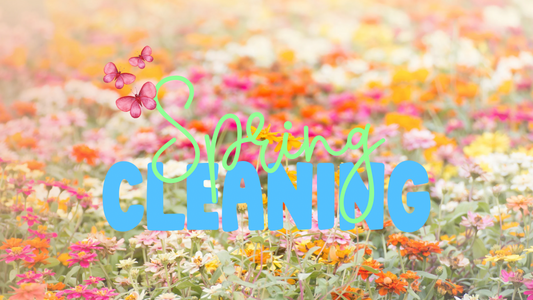 Spring-Cleaning-But-Make-It-Cute-Aesthetic-Ways-to-Refresh-Your-Space Daisie Boutique