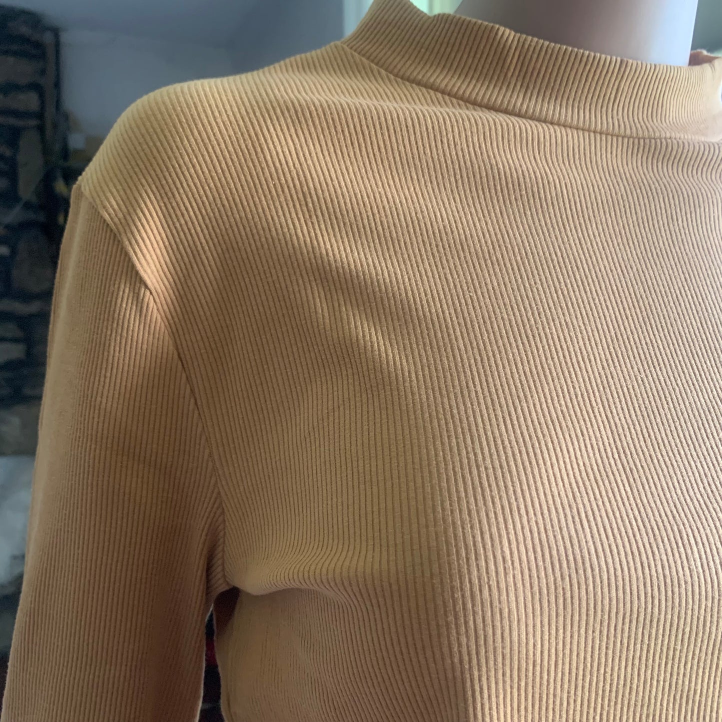 Ribbed Crop Long Sleeve in Honey Daisie Boutique