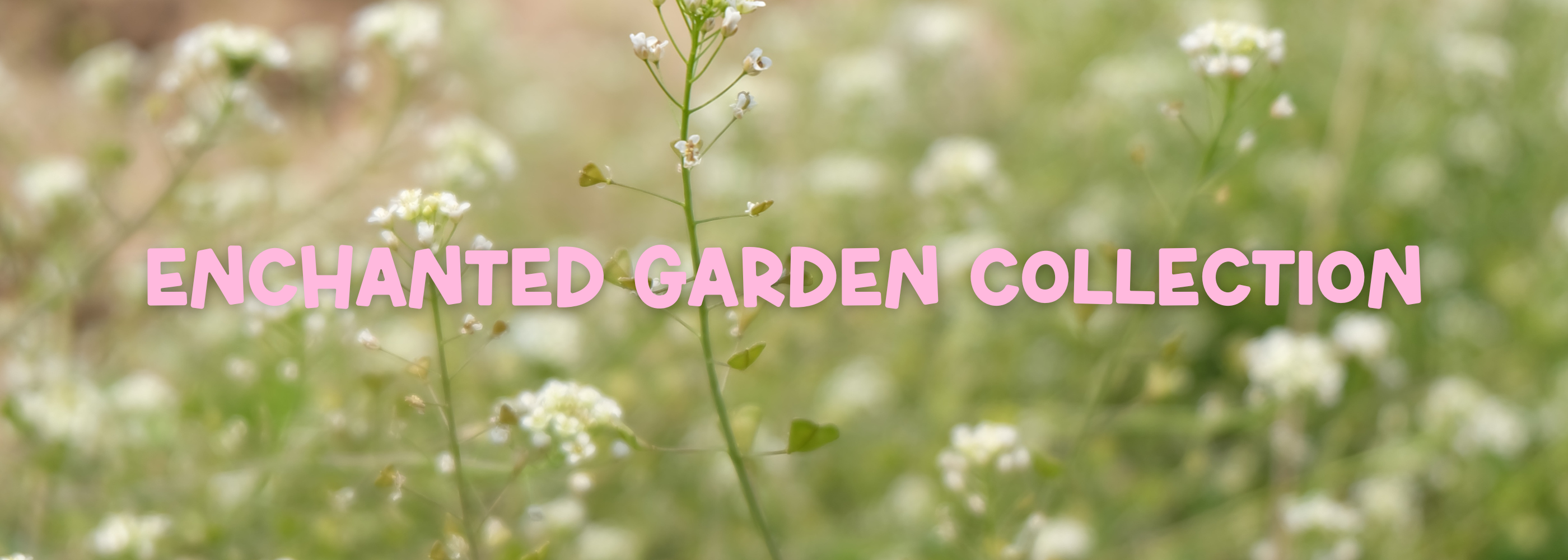 The-Enchanted-Gardens-Collection-Has-Arrived-Shop-the-Magic-Now Daisie Boutique
