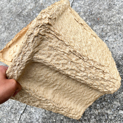 IGLOO Reusable eco-friendly Cooler Daisie Boutique