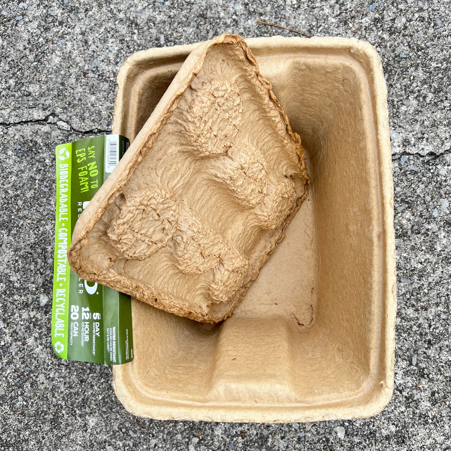 IGLOO Reusable eco-friendly Cooler Daisie Boutique