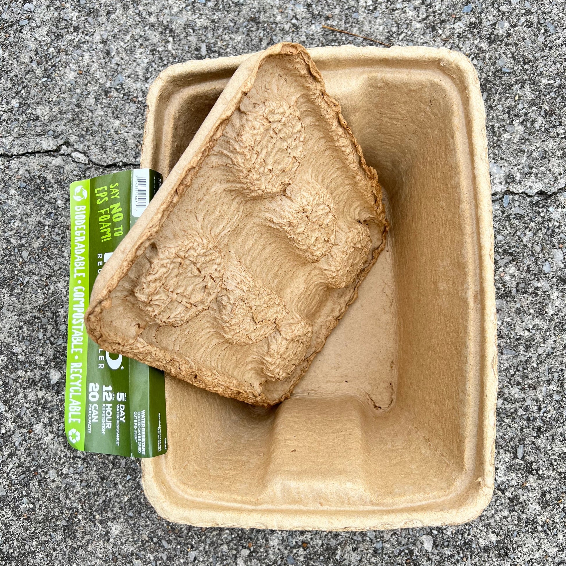 IGLOO Reusable eco-friendly Cooler Daisie Boutique