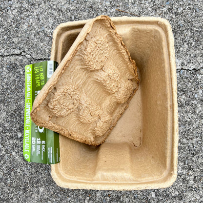 IGLOO Reusable eco-friendly Cooler Daisie Boutique