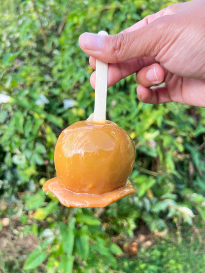 Candy Apples - 12 Ct. (1 Dozen)