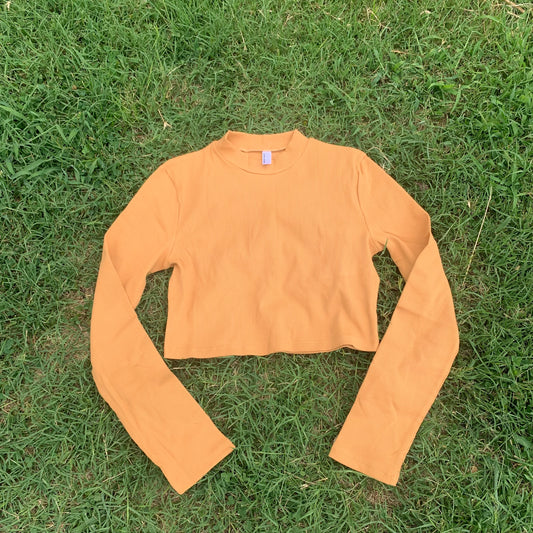 Ribbed Crop Long Sleeve in Honey Daisie Boutique