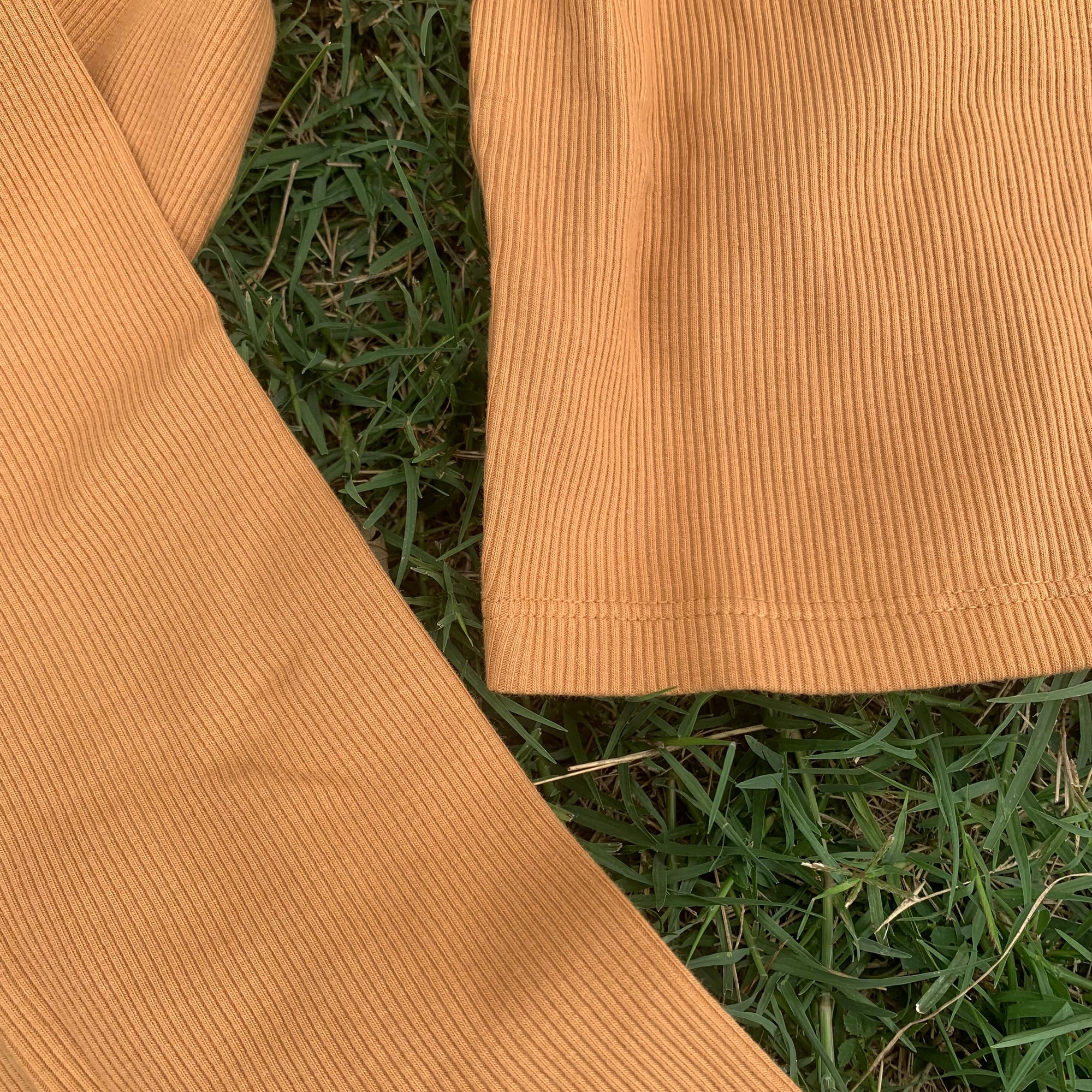 Ribbed Crop Long Sleeve in Honey Daisie Boutique