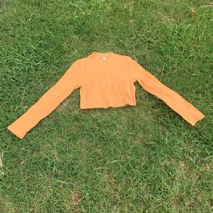 Ribbed Crop Long Sleeve in Honey Daisie Boutique