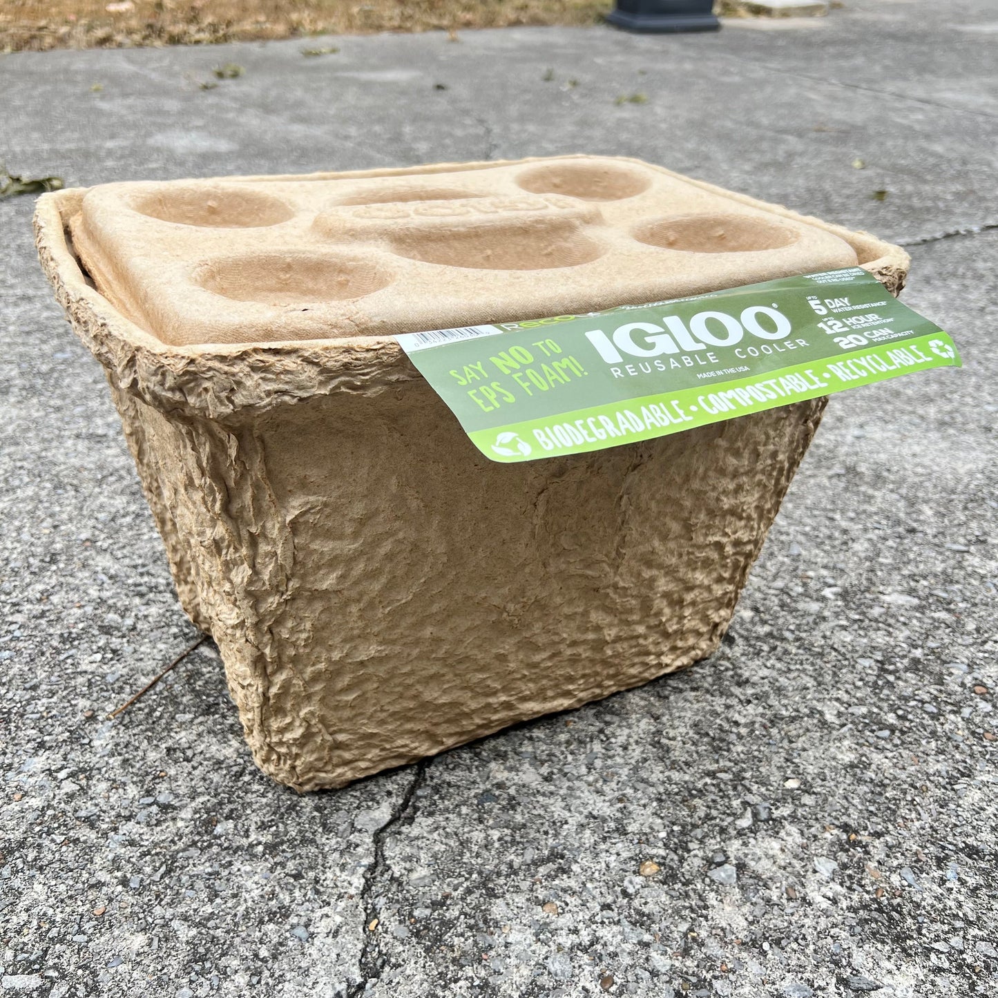 IGLOO Reusable eco-friendly Cooler Daisie Boutique