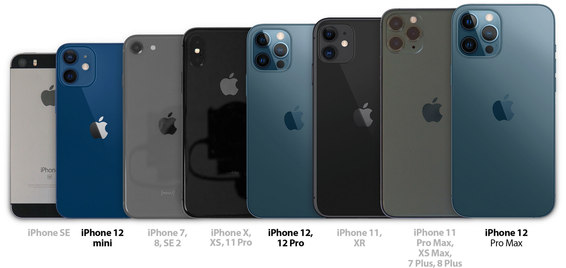 iPhone sizes