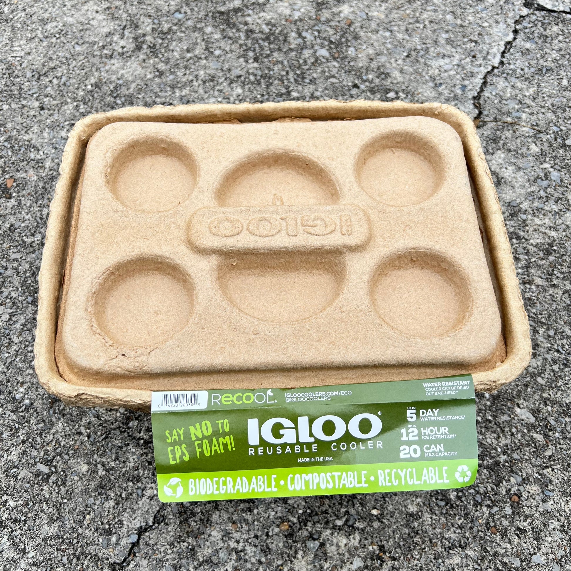 IGLOO Reusable eco-friendly Cooler Daisie Boutique