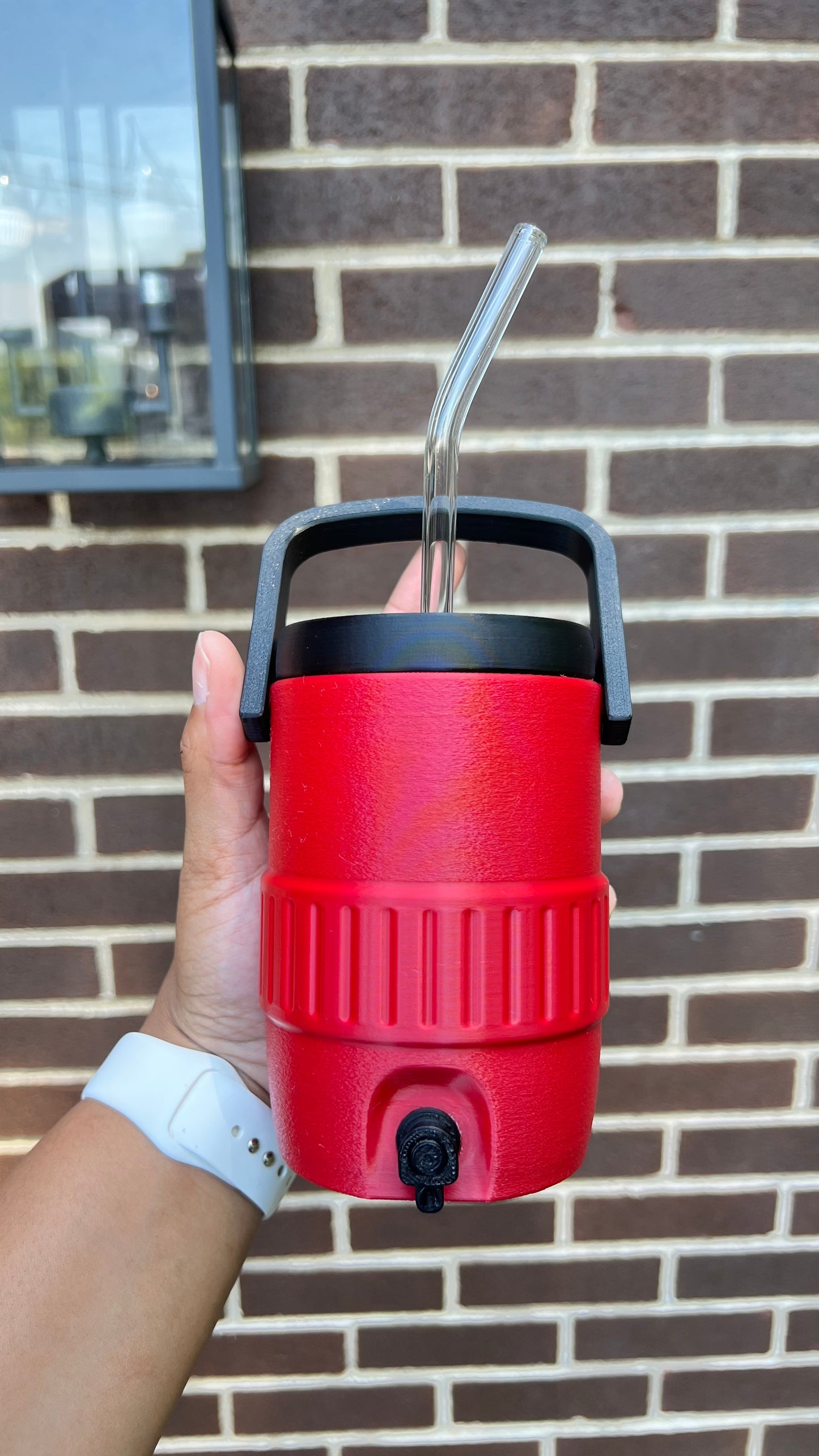 Summer Style Viral Cooler Style 12 oz. Drink Can Holder | Personalized Option Available | TikTok Famous