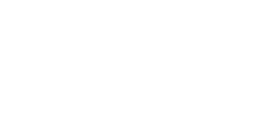 Daisie Boutique