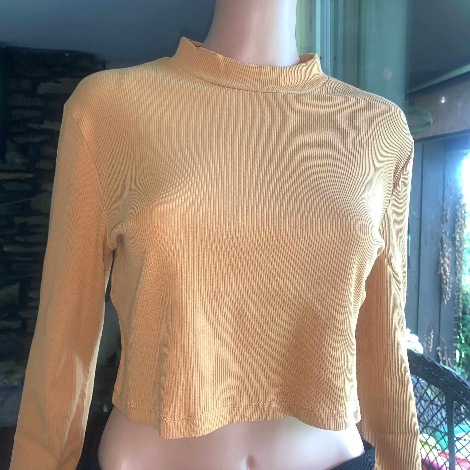 Ribbed Crop Long Sleeve in Honey Daisie Boutique