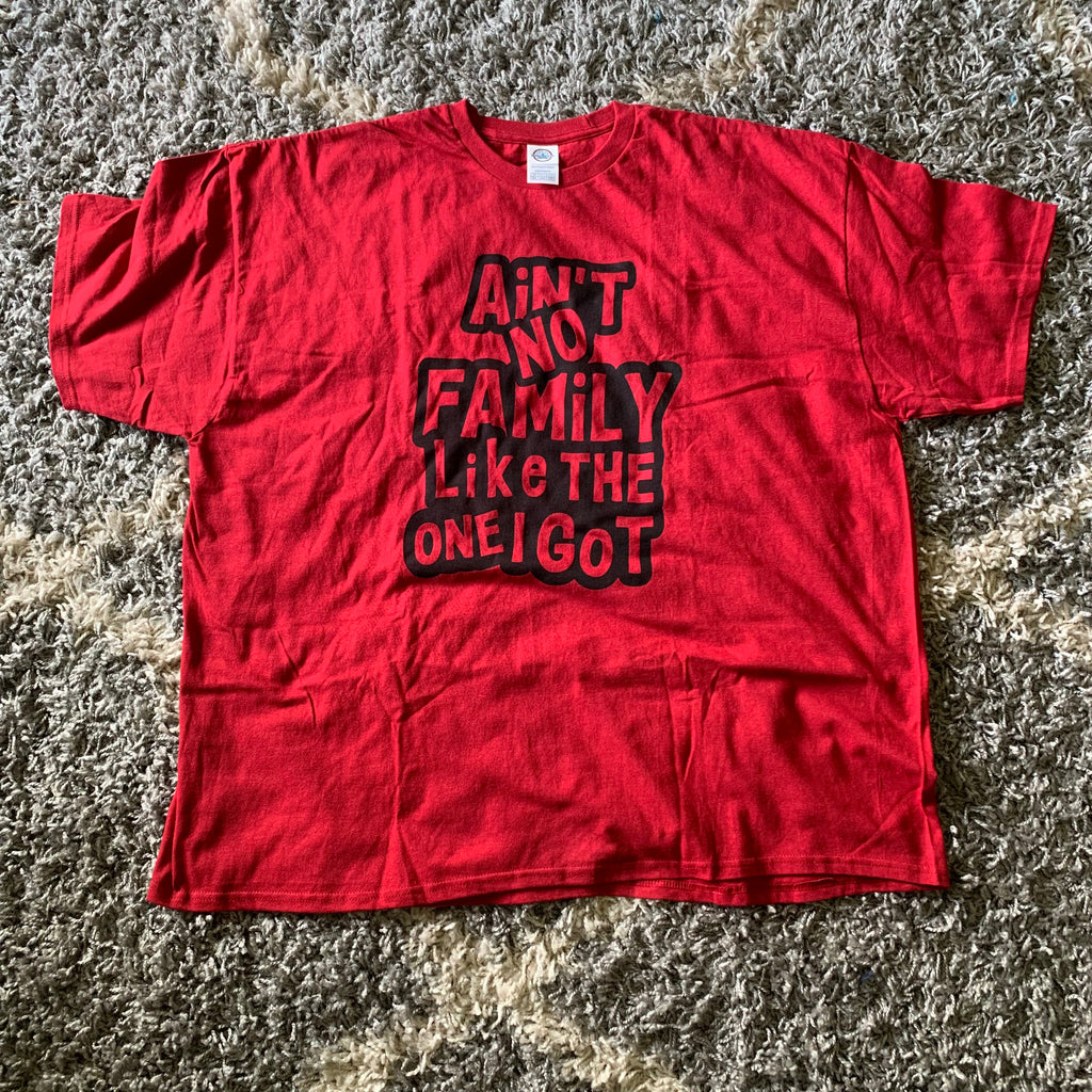 Ain't No Family Like the One I Got T-Shirt Daisie Boutique
