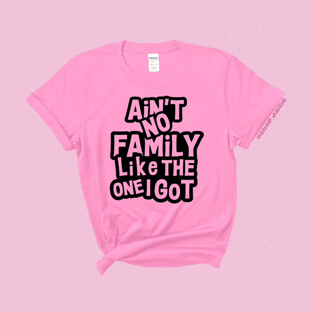 Ain't No Family Like the One I Got T-Shirt Daisie Boutique