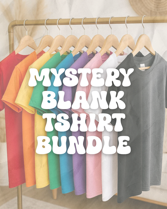 Bulk Blank T-Shirts MIX Daisie Boutique
