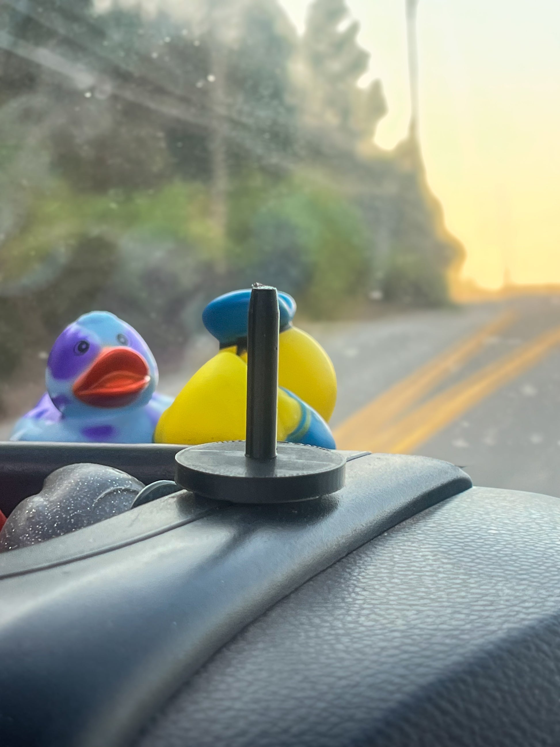 Rubber Duck Holder for Giant Rubber Duckies Daisie Boutique